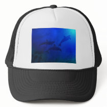 DOLPHINS UNDERWATER hats by ZuluFlight DOLPHINS UNDERWATER hats