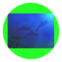 DOLPHINS UNDERWATER stickers by ZuluFlight DOLPHINS UNDERWATER stickers