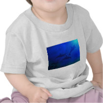 DOLPHINS UNDERWATER t-shirts