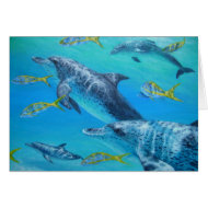 dolphinswithsnappers card
