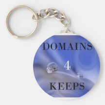 DOMAINS ARE 4 KEEPS KEYCHAINS