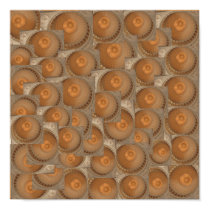 Domes posters
