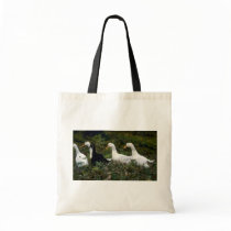 Domestic Ducks Tote Bag