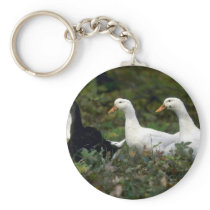 Domestic Ducks Keychain