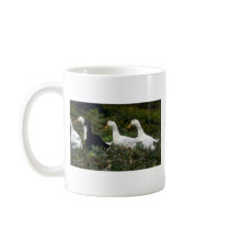 Domestic Ducks Coffee Mugs