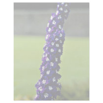 Domestic flower, Stratford, Ontario, Canada  flowe Letterhead Template
