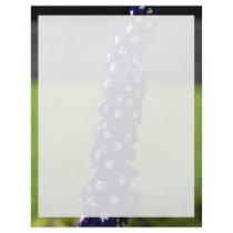 Domestic flower, Stratford, Ontario, Canada Letterhead Design