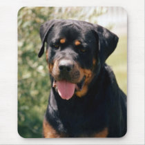Domesticated Animals 219 Mouse Pad