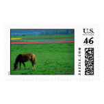 Domesticated Animals 64 stamps