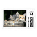 Domesticated Animals 79 postage
