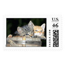 Domesticated Animals 79 postage