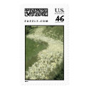 Domesticated Animals 91 postage