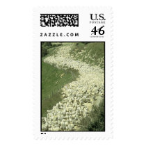 Domesticated Animals 91 postage
