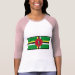 Ladies 3/4 Sleeve Raglan (Fitted)