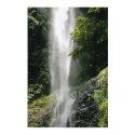 Dominica Waterfall posters by nebjammer22 Dominica Waterfall posters