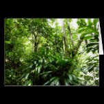 Dominican Rain Forest Card