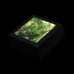 Dominican Rain Forest Gift Box
