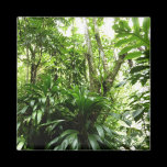 Dominican Rain Forest Magnet