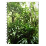 Dominican Rain Forest Notebook