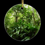 Dominican Rain Forest Ornament