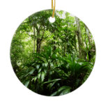 Dominican Rain Forest Ornament