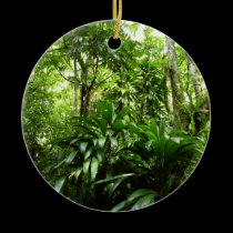 Dominican Rain Forest Ornament ornaments