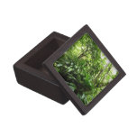 Dominican Rain Forest Premium Gift Box