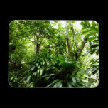 Dominican Rain Forest Premium Magnet