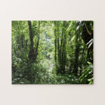 Dominican Rain Forest Puzzle