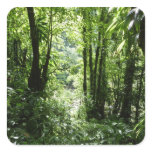 Dominican Rain Forest Square Sticker