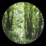 Dominican Rain Forest Sticker