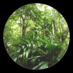 Dominican Rain Forest Sticker