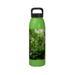 Dominican Rain Forest Water Bottle