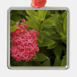 Dominican Republic, Caribbean, Bavaro, Punta Christmas Tree Ornament
