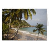 Dominican Republic, North Coast, Abreu, Playa 3 Greeting Cards