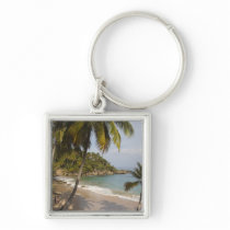 Dominican Republic, North Coast, Abreu, Playa 3 Keychains
