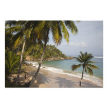 Dominican Republic, North Coast, Abreu, Playa 3