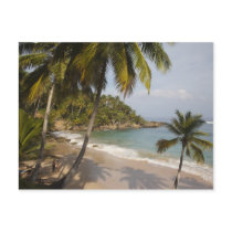 Dominican Republic, North Coast, Abreu, Playa 3 Postcard