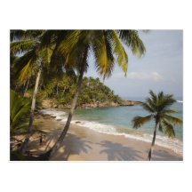 Dominican Republic, North Coast, Abreu, Playa 3 Postcard