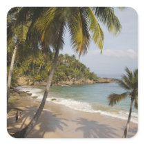 Dominican Republic, North Coast, Abreu, Playa 3 Sticker
