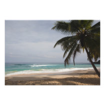 Dominican Republic, North Coast, Abreu, Playa