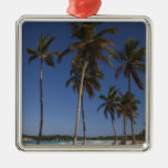 Dominican Republic, Punta Cana Region, El Christmas Ornament