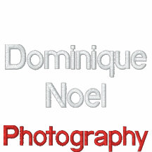 Dominique Noel , Photography Embroidered Jacket