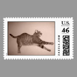 Domino stretch postage