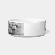Domino's Dish