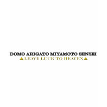 Domo Arigato Miyamoto t-shirts