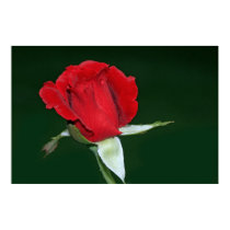 Don Juan Rose on Canvas, Edited posters