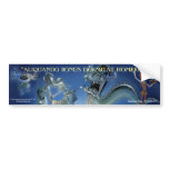 DON QUIXOTE - BUMPER STICKER