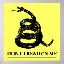 Don’t Tread on Me Print