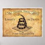 Don’t Tread on Me Print